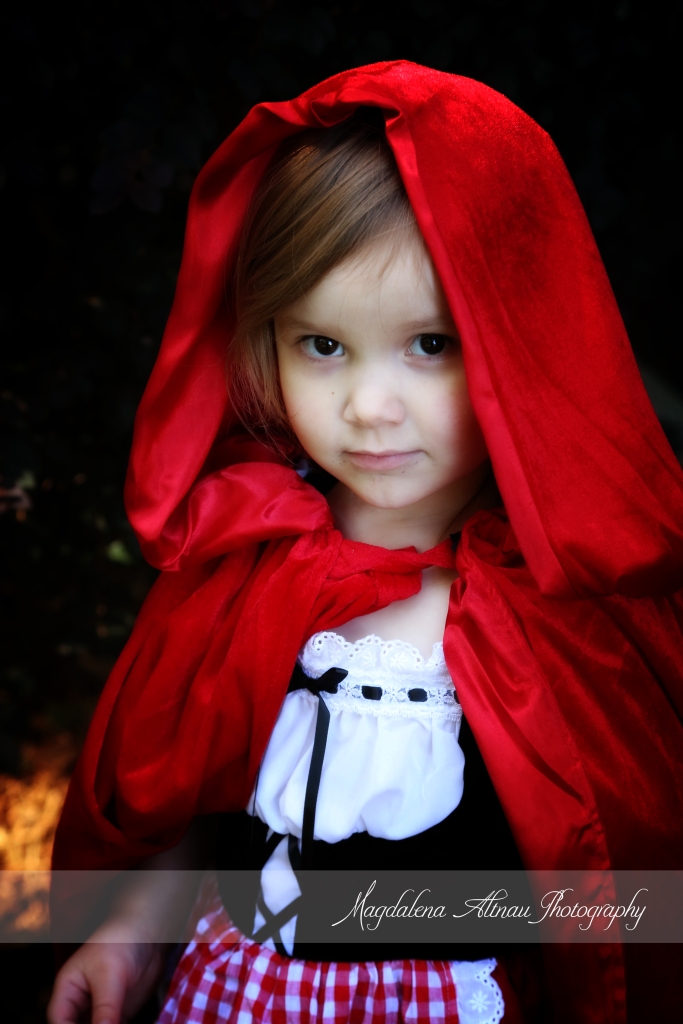 Little Red Riding Hood (1) :: The BlueStocking@Home